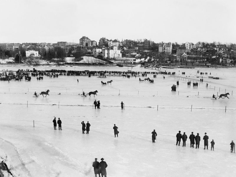 Hesteløp på Frognerkilen